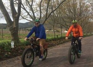 Vinebikes Stellenbosch (Half Day) - E-Bike Wine Tour Stellenbosch