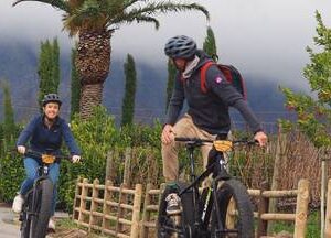 Vinebikes Franschhoek