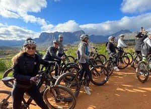 Vinebikes Stellenbosch (Full Day)