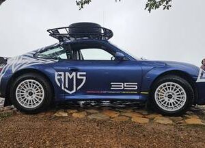 Cape Point Day Tour with a Safari Porsche 911