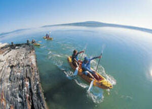 Langebaan Lagoon Explorer paddle incl. lunch - West Coast National Park (WS)