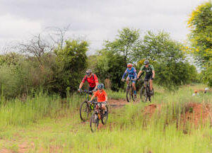 Bike Park Access Pass