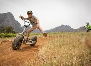 Stellenbosch Scootours @ Banhoek