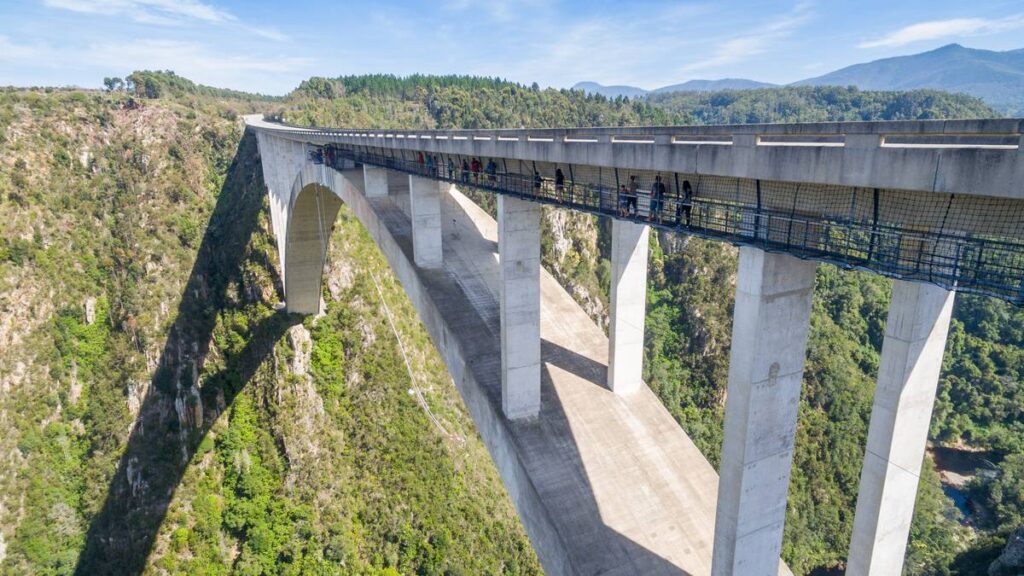 Bungee Jumping