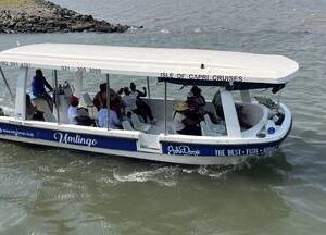 30 Min Harbour Cruise