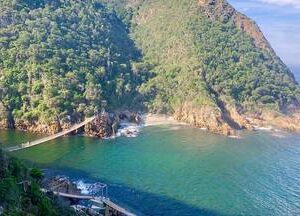 Tsitsikamma Tour - Full Day