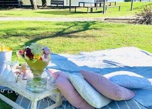 Luxury Picnic Set Up: Picnic for 2