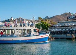 Half Hour Seal and Harbour Tours