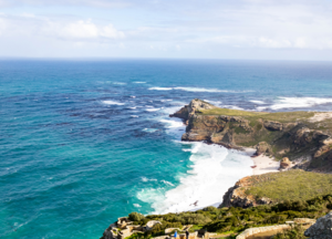 Full Day Cape Peninsula