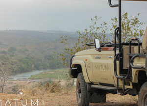 Big 5 Morning Private Safari