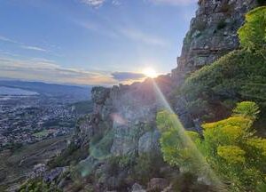 Hike: Table Mountain - India Venster