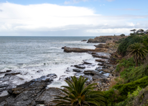 Hermanus Whale Watching Tour via Clarence Drive