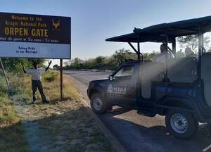 Kruger - Full Day, Open Safari Vehicle