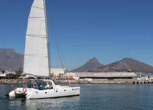 1 Hour Cruise and Lunch at Quay Four Restaurant (Escape Cat)