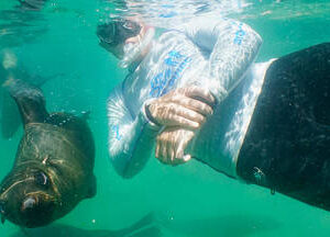 Seal Snorkeling Plettenberg Bay