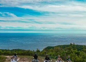 Tsitsikamma National Park Quad Bike Tour