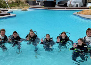 PADI Discover Scuba Diving Plettenberg Bay