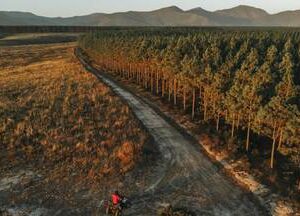 Tsitsikamma Quad Bike Tour