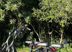 Tsitsikamma Forest Scooter Tour
